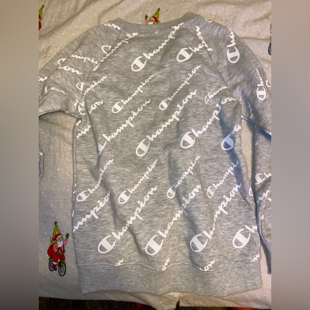 Champion sweatshirt